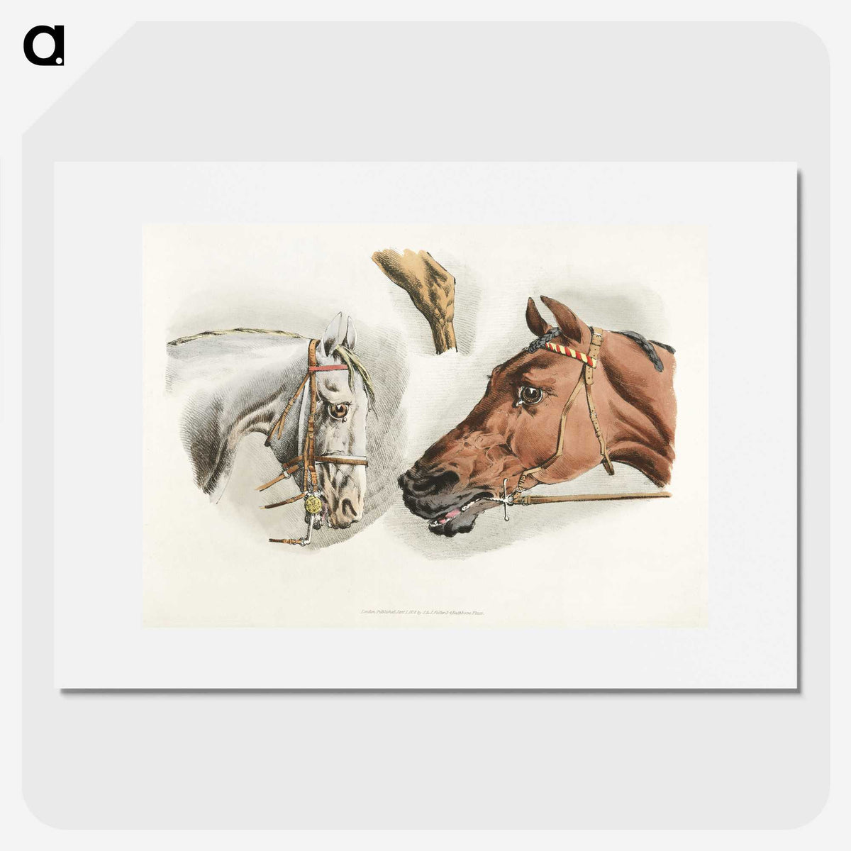 1-20_Sporting-Sketches_picture
