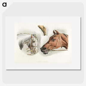 1-20_Sporting-Sketches_picture