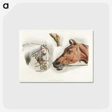 1-20_Sporting-Sketches_postcard