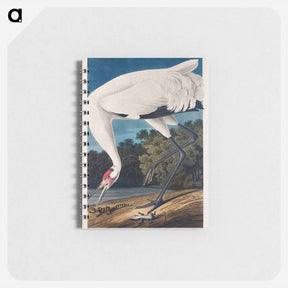 アートメモ帳-Hooping Crane from Birds of America
 - アメリカの鳥たち Memo.