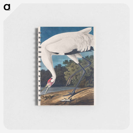 アートメモ帳-Hooping Crane from Birds of America
 - アメリカの鳥たち Memo.