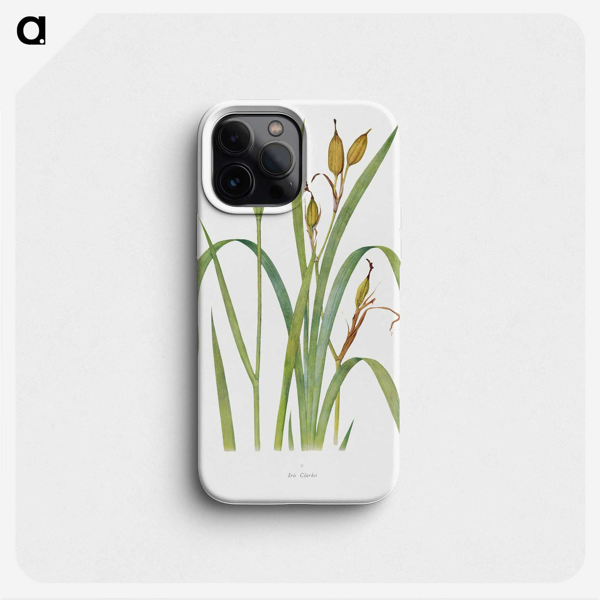 1-20_The-Genus-Iris_phone