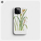 1-20_The-Genus-Iris_phone