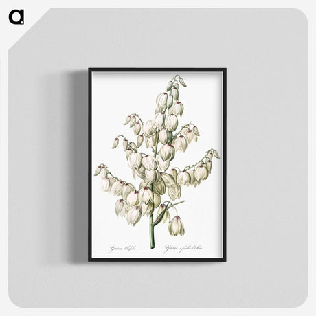 1-20_The-Lilies_blk-crop