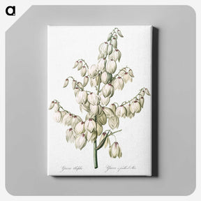 1-20_The-Lilies_canvas