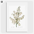 1-20_The-Lilies_picture