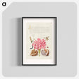 アートポスター-Damselfly, Carnation, Insect, Caterpillar, Ladybird, English Walnut, and Marine Mollusk
 - 書道のお手本 Poster.