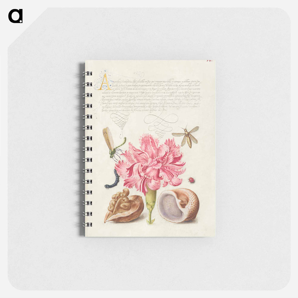 アートメモ帳-Damselfly, Carnation, Insect, Caterpillar, Ladybird, English Walnut, and Marine Mollusk
 - 書道のお手本 Memo.