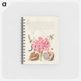 アートメモ帳-Damselfly, Carnation, Insect, Caterpillar, Ladybird, English Walnut, and Marine Mollusk
 - 書道のお手本 Memo.