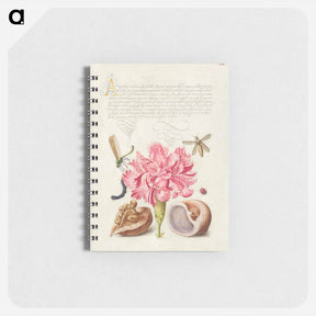 アートメモ帳-Damselfly, Carnation, Insect, Caterpillar, Ladybird, English Walnut, and Marine Mollusk
 - 書道のお手本 Memo.