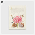 アートポストカード-Damselfly, Carnation, Insect, Caterpillar, Ladybird, English Walnut, and Marine Mollusk
 - 書道のお手本 Postcard.