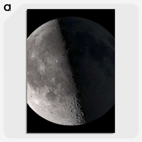 1-20_The-Moon_picture-crop