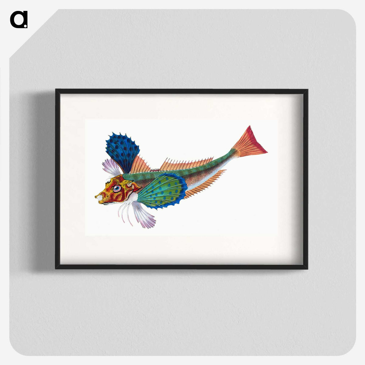1-20_The-Natural-History-of-British-Fishes_blk