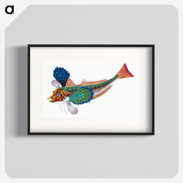 1-20_The-Natural-History-of-British-Fishes_blk