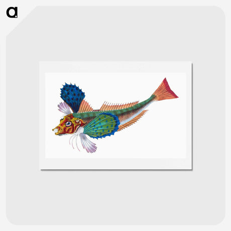 1-20_The-Natural-History-of-British-Fishes_hagaki