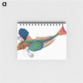 1-20_The-Natural-History-of-British-Fishes_memo