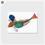 1-20_The-Natural-History-of-British-Fishes_postcard