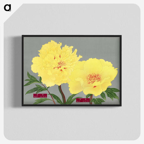 1-20_The-Picture-Book-of-Peonies_blk-crop