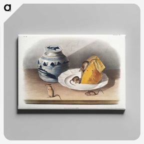 1-20_The-Viviparous-Quadrupeds_canvas