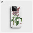 1-20_Treatise-on-Trees-and-Shrubs_phone