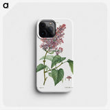 1-20_Treatise-on-Trees-and-Shrubs_phone