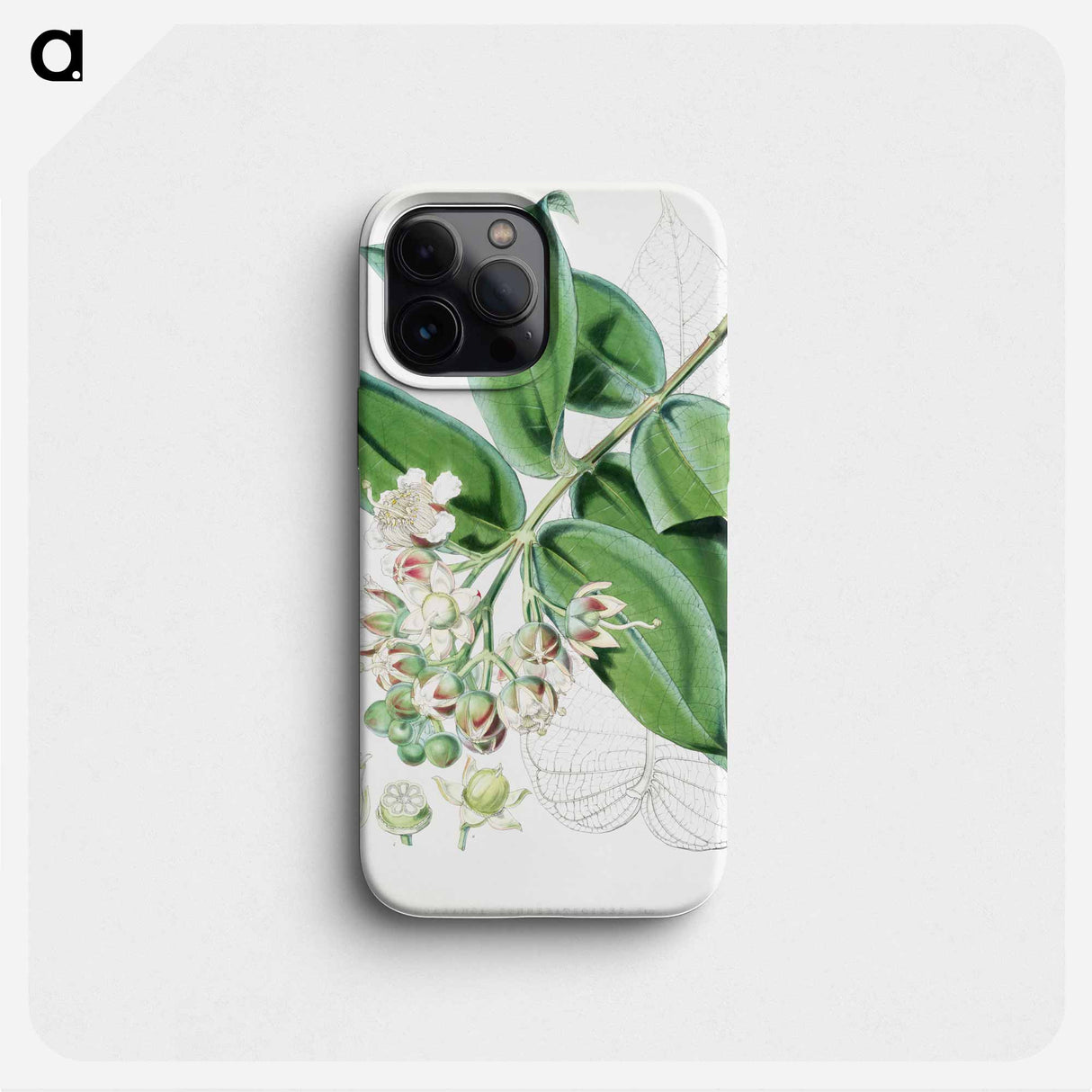 Duabanga Sonneratioides - ウォルター フッド フィッチ Phone Case.