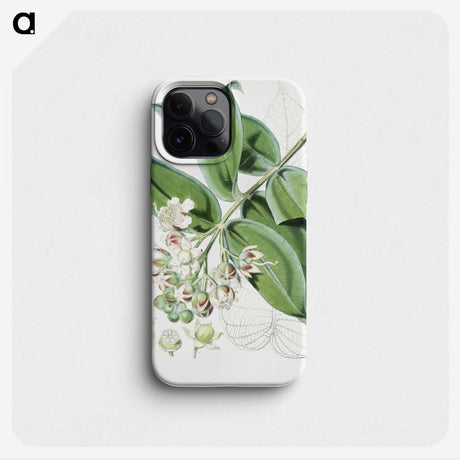 1-20_Walter-Hood-Fitch_phone