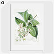 1-20_Walter-Hood-Fitch_picture