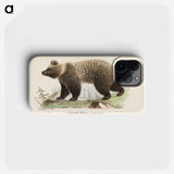 Juvenile bear, male, illustration for tiger sketch for young and natural animals - Wilhelm von Wright Phone Case.