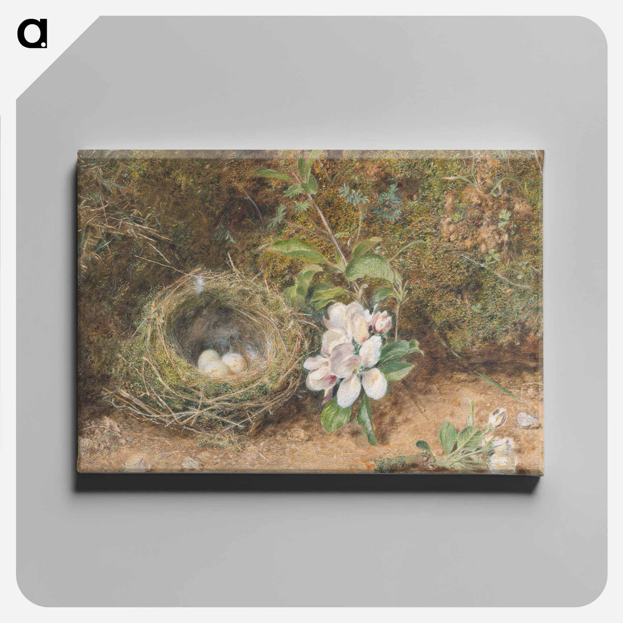 Bird's Nest with Sprays of Apple Blossoms - ウィリアム ヘンリー ハント Canvas.