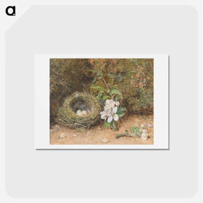 アートポストカード-Bird's Nest with Sprays of Apple Blossoms - ウィリアム ヘンリー ハント Postcard.