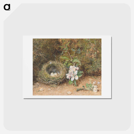 アートポストカード-Bird's Nest with Sprays of Apple Blossoms - ウィリアム ヘンリー ハント Postcard.