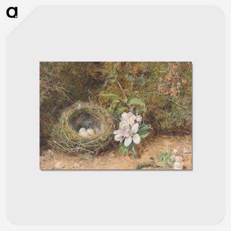 アートポストカード-Bird's Nest with Sprays of Apple Blossoms - ウィリアム ヘンリー ハント Postcard.