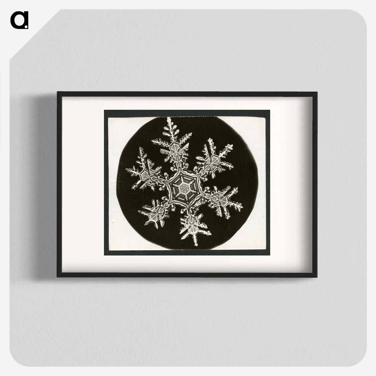 Wilson Bentley Photomicrograph of Stellar Snowflake No. 815 - ウィルソン ベントレー Poster.