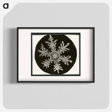 Wilson Bentley Photomicrograph of Stellar Snowflake No. 815 - ウィルソン ベントレー Poster.