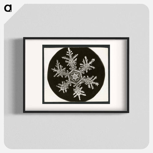 Wilson Bentley Photomicrograph of Stellar Snowflake No. 815 - ウィルソン ベントレー Poster.