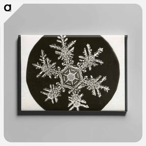 アートパネル-Wilson Bentley Photomicrograph of Stellar Snowflake No. 815 - ウィルソン ベントレー Canvas.