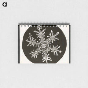 アートメモ帳-Wilson Bentley Photomicrograph of Stellar Snowflake No. 815 - ウィルソン ベントレー Memo.
