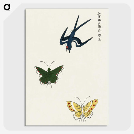 1-20_Yatsuo-no-Tsubaki_picture-crop