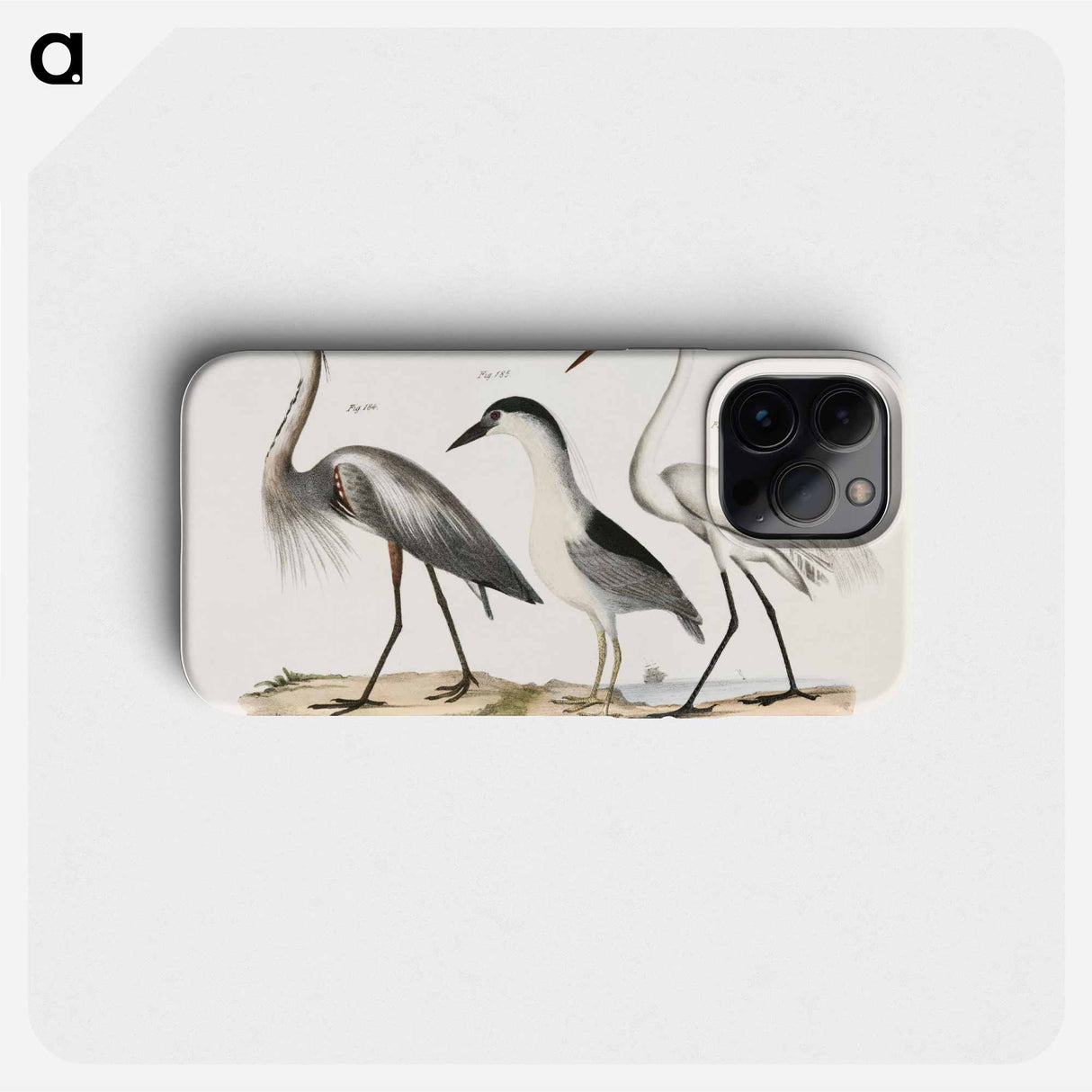 Great Blue Heron - ニューヨークの動物学 Phone Case.