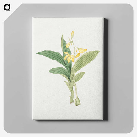 1-21_19th-Century-Japanese-Flowers_canvas