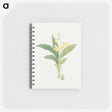 1-21_19th-Century-Japanese-Flowers_memo