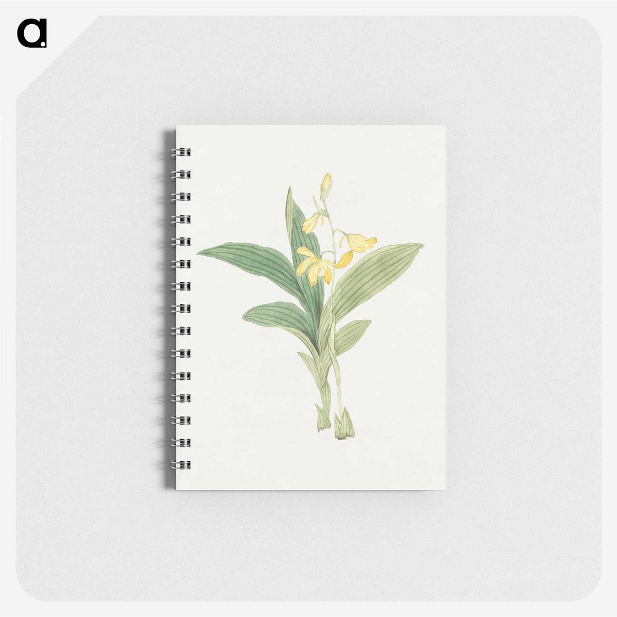 1-21_19th-Century-Japanese-Flowers_memo