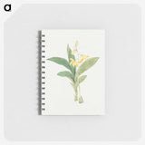 1-21_19th-Century-Japanese-Flowers_memo