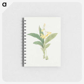 1-21_19th-Century-Japanese-Flowers_memo