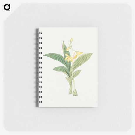 1-21_19th-Century-Japanese-Flowers_memo