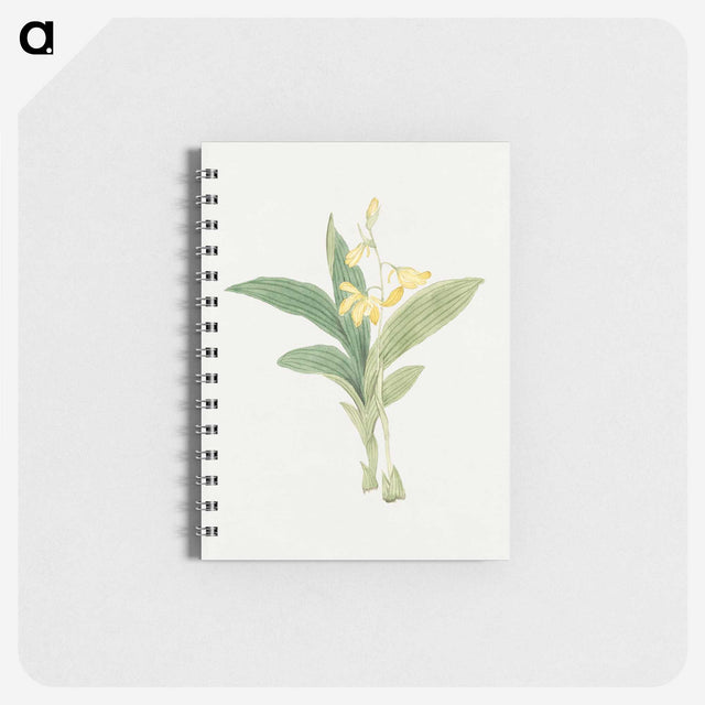 1-21_19th-Century-Japanese-Flowers_memo