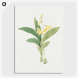 1-21_19th-Century-Japanese-Flowers_picture-crop