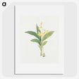 1-21_19th-Century-Japanese-Flowers_picture