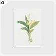 1-21_19th-Century-Japanese-Flowers_postcard